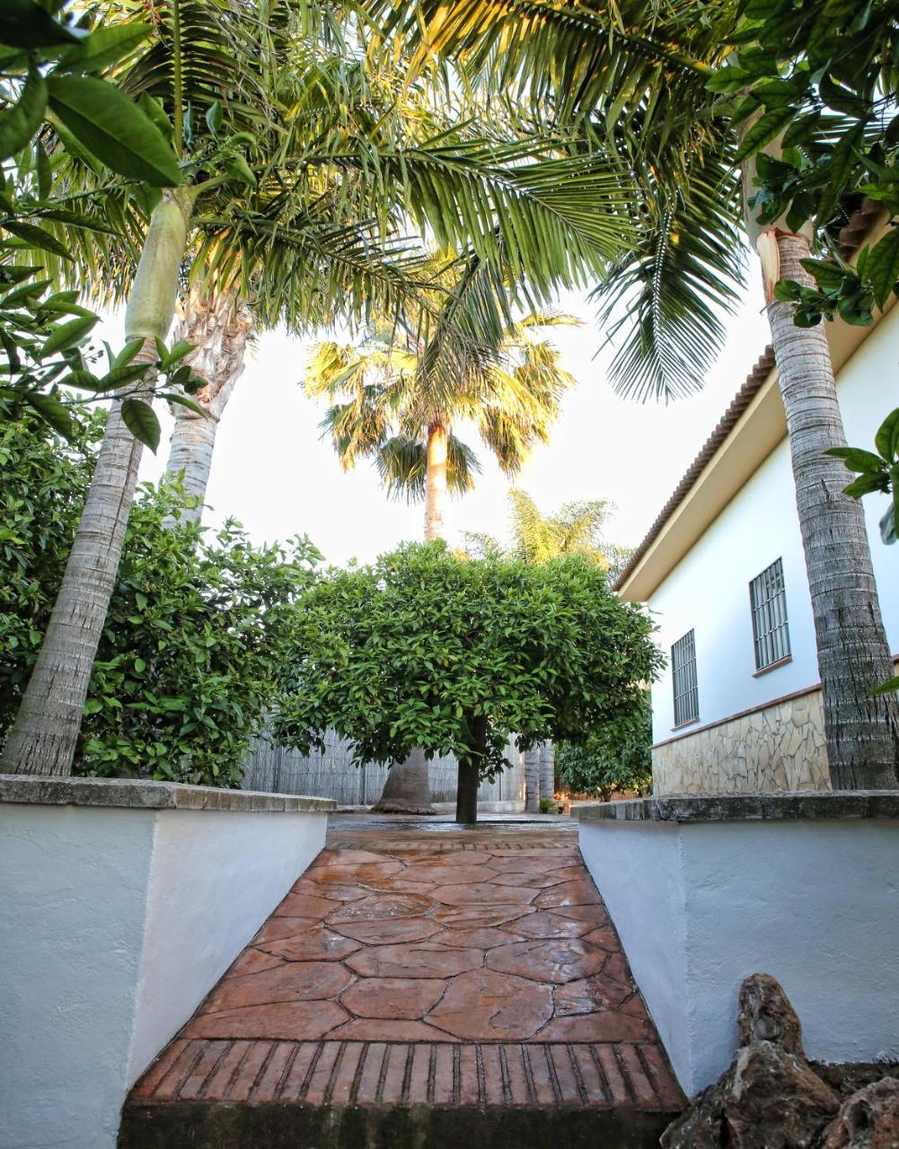 Casa Rural Tipica Andaluza, Wifi,Piscina, Barbacoa, Aire Acondicionado, 5Min Centros Alhaurín el Grande Kültér fotó
