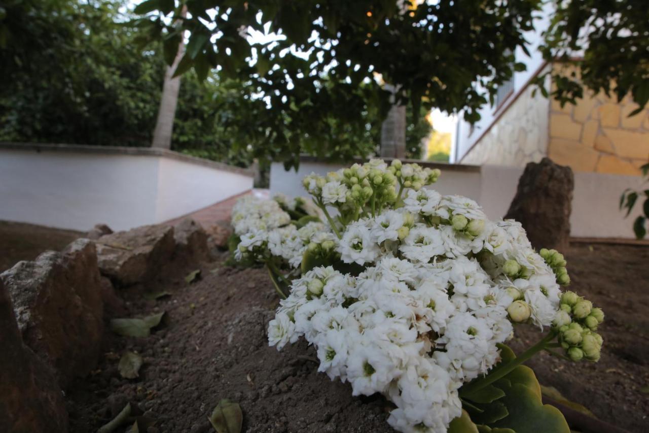 Casa Rural Tipica Andaluza, Wifi,Piscina, Barbacoa, Aire Acondicionado, 5Min Centros Alhaurín el Grande Kültér fotó