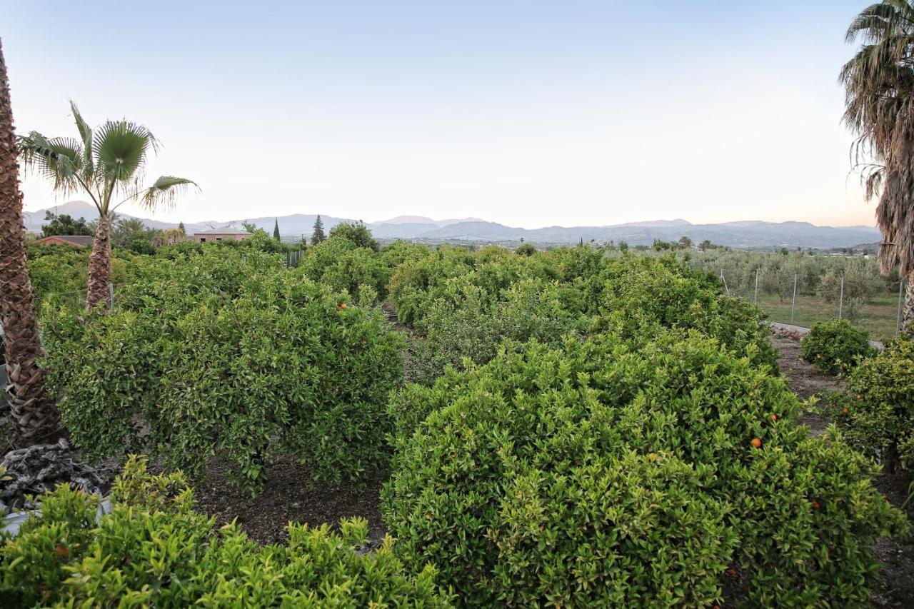 Casa Rural Tipica Andaluza, Wifi,Piscina, Barbacoa, Aire Acondicionado, 5Min Centros Alhaurín el Grande Kültér fotó